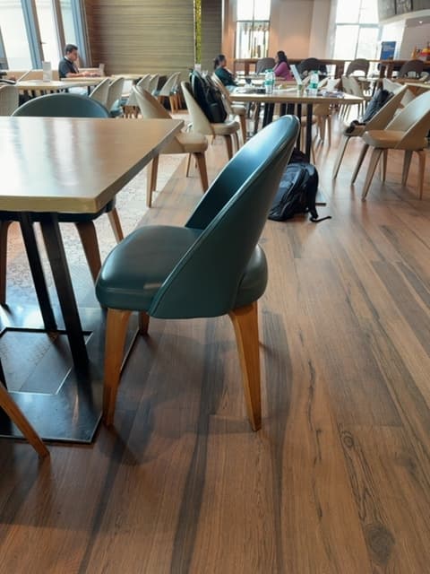 Teal Temptaise